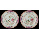 A pair of Chinese famille rose plates, Qianlong period (1736-1795), each painted with two peacocks