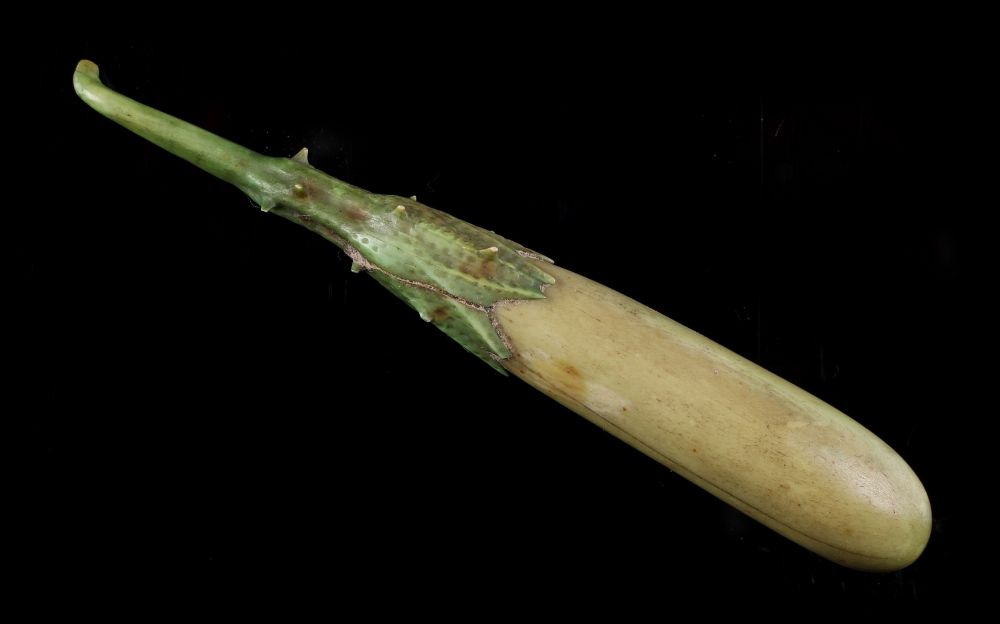 A carved & stained ivory model of a green gourd type vegetable, late 19th / early 20th century, 4.