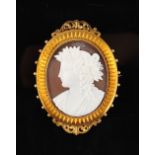 A Victorian carved oval shell cameo brooch depicting the head of a classical maiden, the yellow