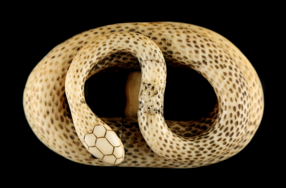 The Ronald Hart Collection of Japanese Netsukes - a carved ivory netsuke modelled as a coiled snake, - Image 2 of 7