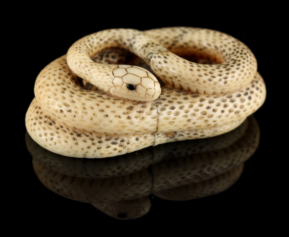 The Ronald Hart Collection of Japanese Netsukes - a carved ivory netsuke modelled as a coiled snake, - Image 3 of 7