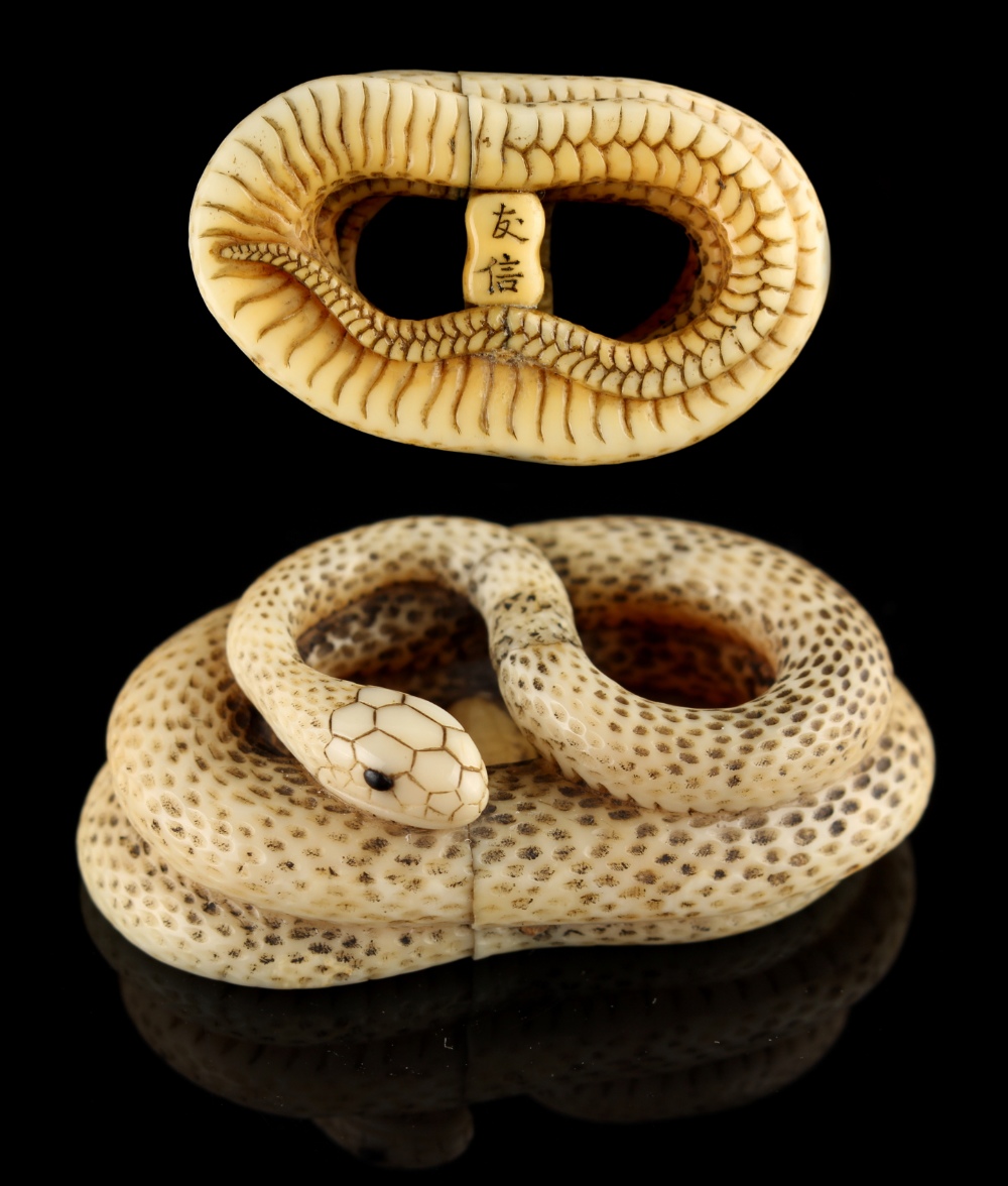 The Ronald Hart Collection of Japanese Netsukes - a carved ivory netsuke modelled as a coiled snake,