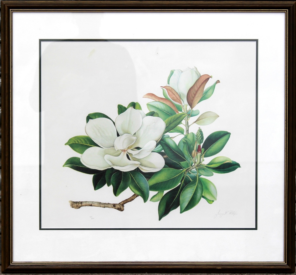 Property of a lady - Jenny K Phillips (modern) - MAGNOLIA - signed print, number 127 of 1,000, in