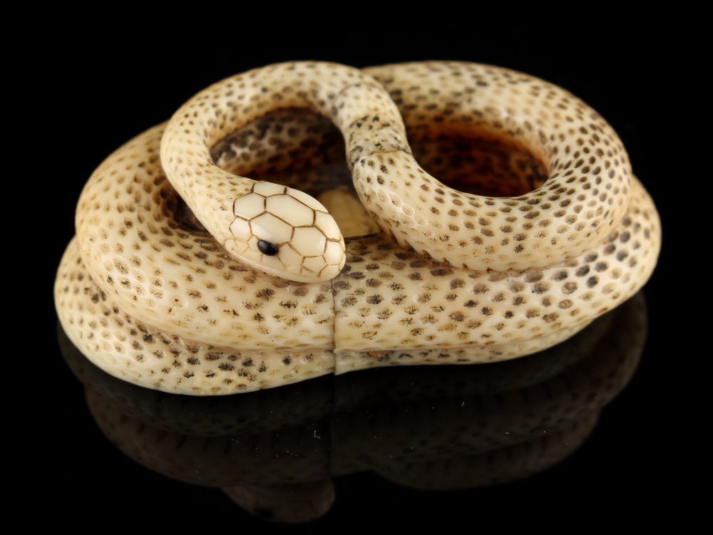 The Ronald Hart Collection of Japanese Netsukes - a carved ivory netsuke modelled as a coiled snake, - Image 4 of 7