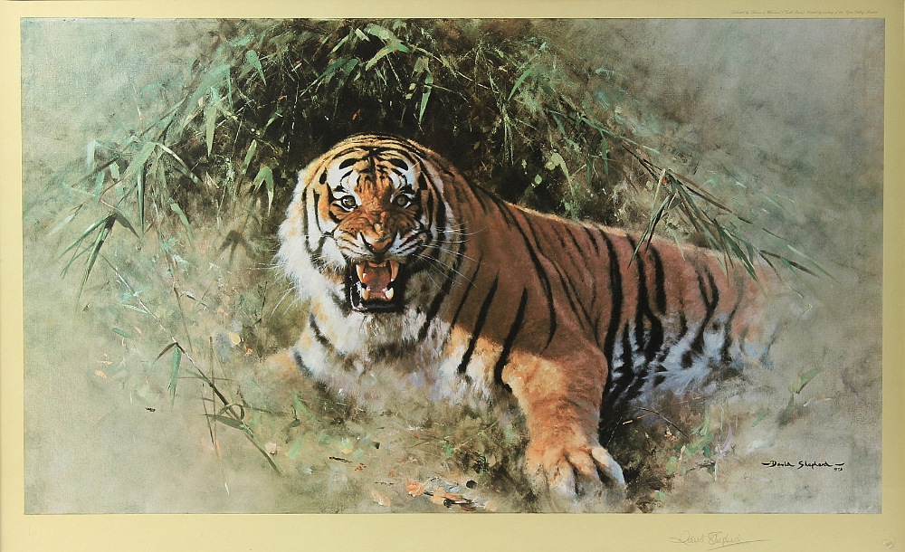 Property of a lady - David Shepherd (1931-2017) - 'TIGER FIRE' - limited edition print, numbered 641