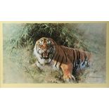 Property of a lady - David Shepherd (1931-2017) - 'TIGER FIRE' - limited edition print, numbered 641