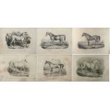 Property of a lady - after Victor Adam (1801-1866) - 'MARINGO' (plate 1), 'SOOTHSAYER' (plate 2), '