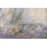 Property of a lady of title - Paul H. MacDermot (modern British) - A PTARMIGAN IN UNDERGROWTH -