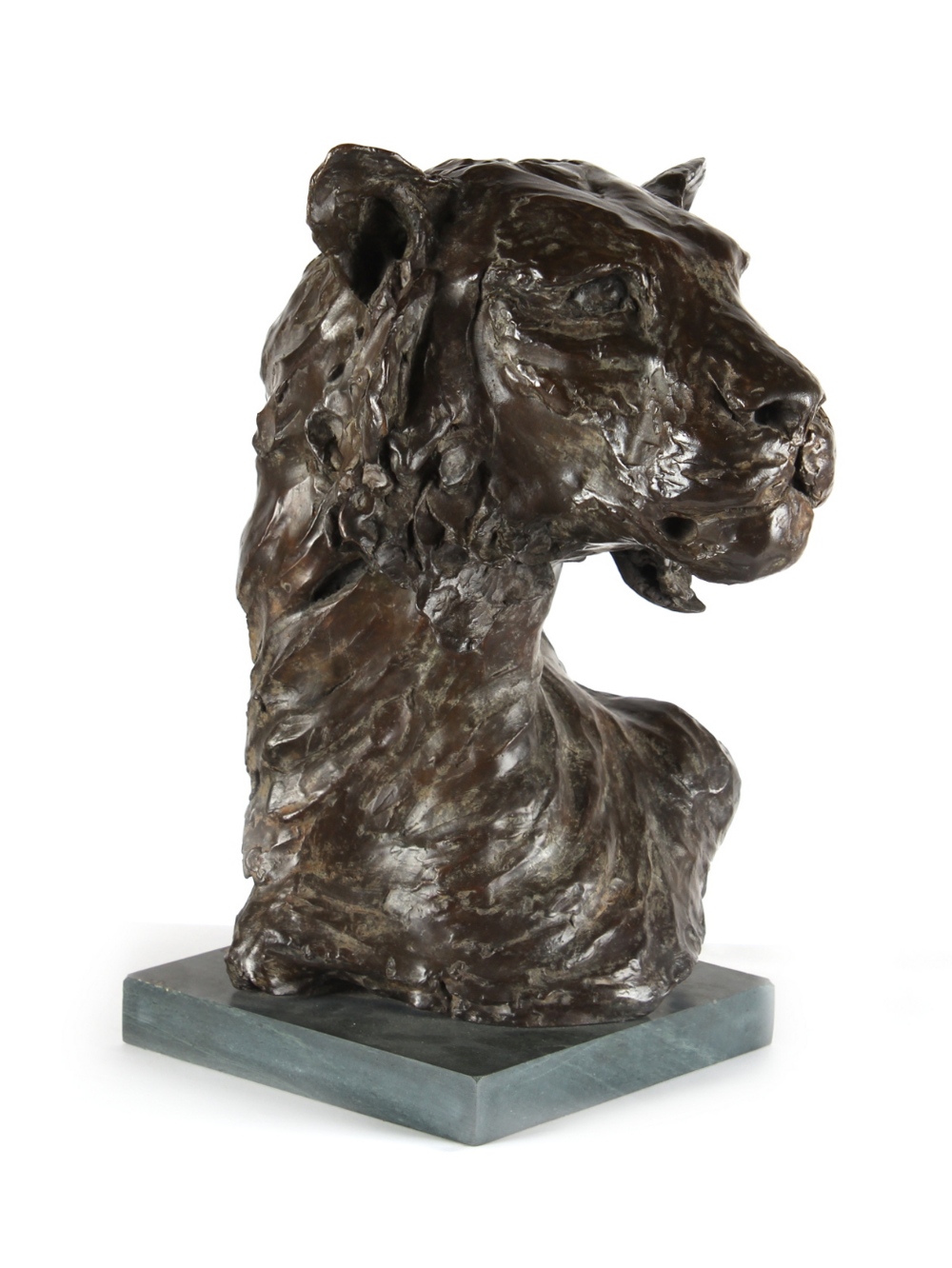 ARR - Property of a gentleman - Lucy Nielson (contemporary) - LIONESS HEAD - bronze, signed &