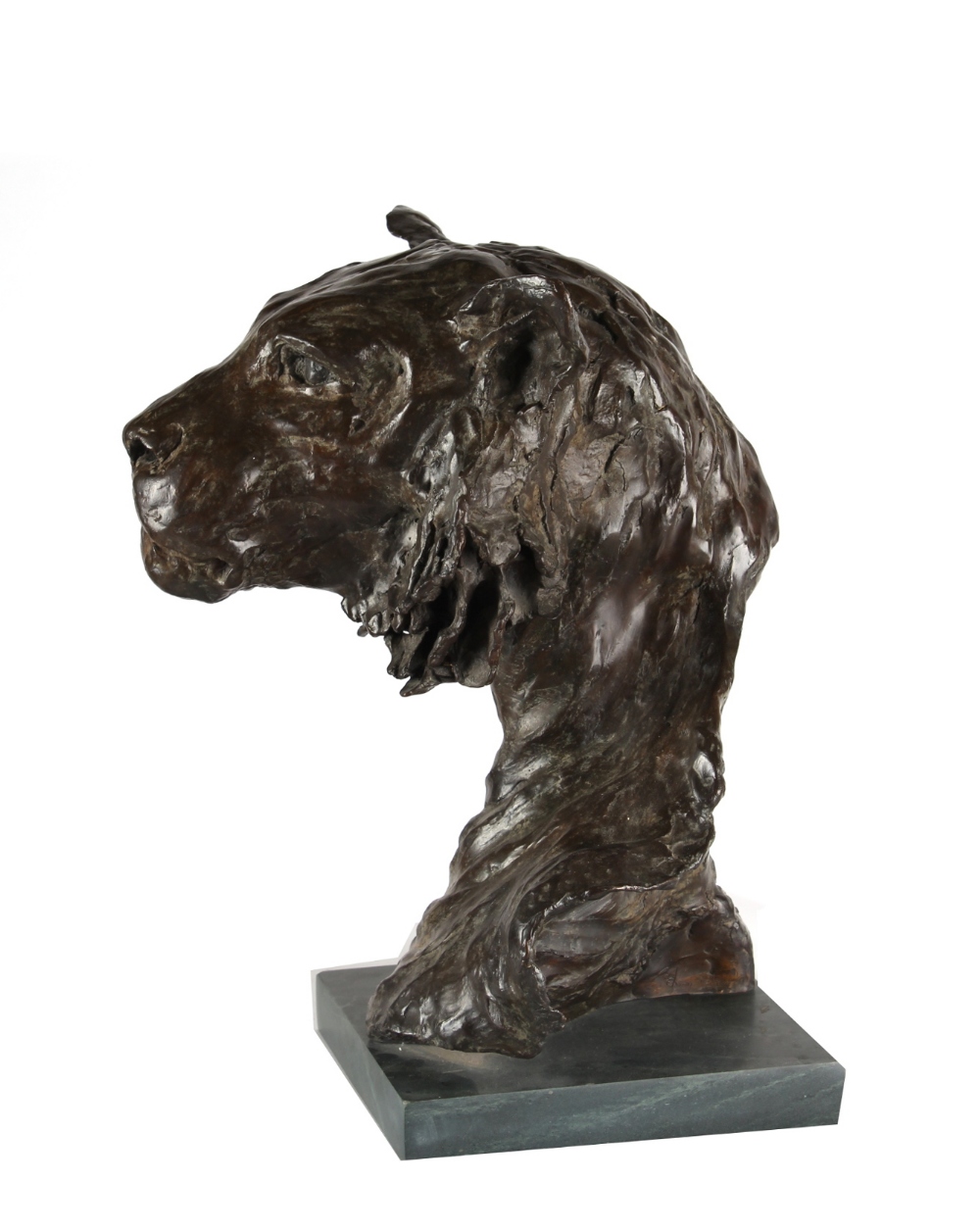 ARR - Property of a gentleman - Lucy Nielson (contemporary) - LIONESS HEAD - bronze, signed & - Image 2 of 3