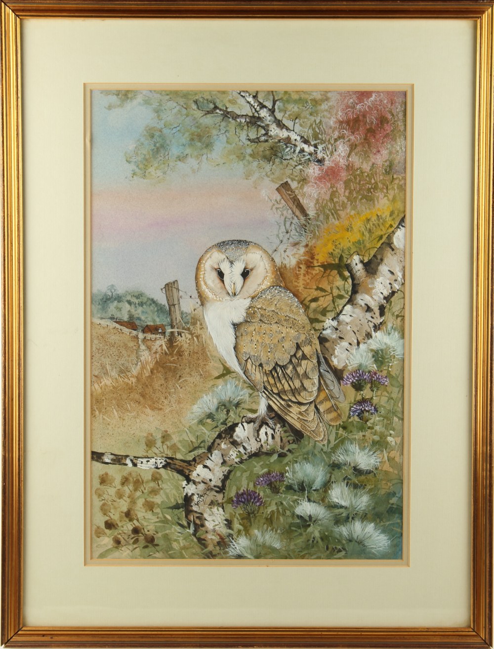 Ian Bowles (b.1947) - BARN OWL IN LANDSCAPE - watercolour & gouache, 19.45 by 13ins. (49.4 by