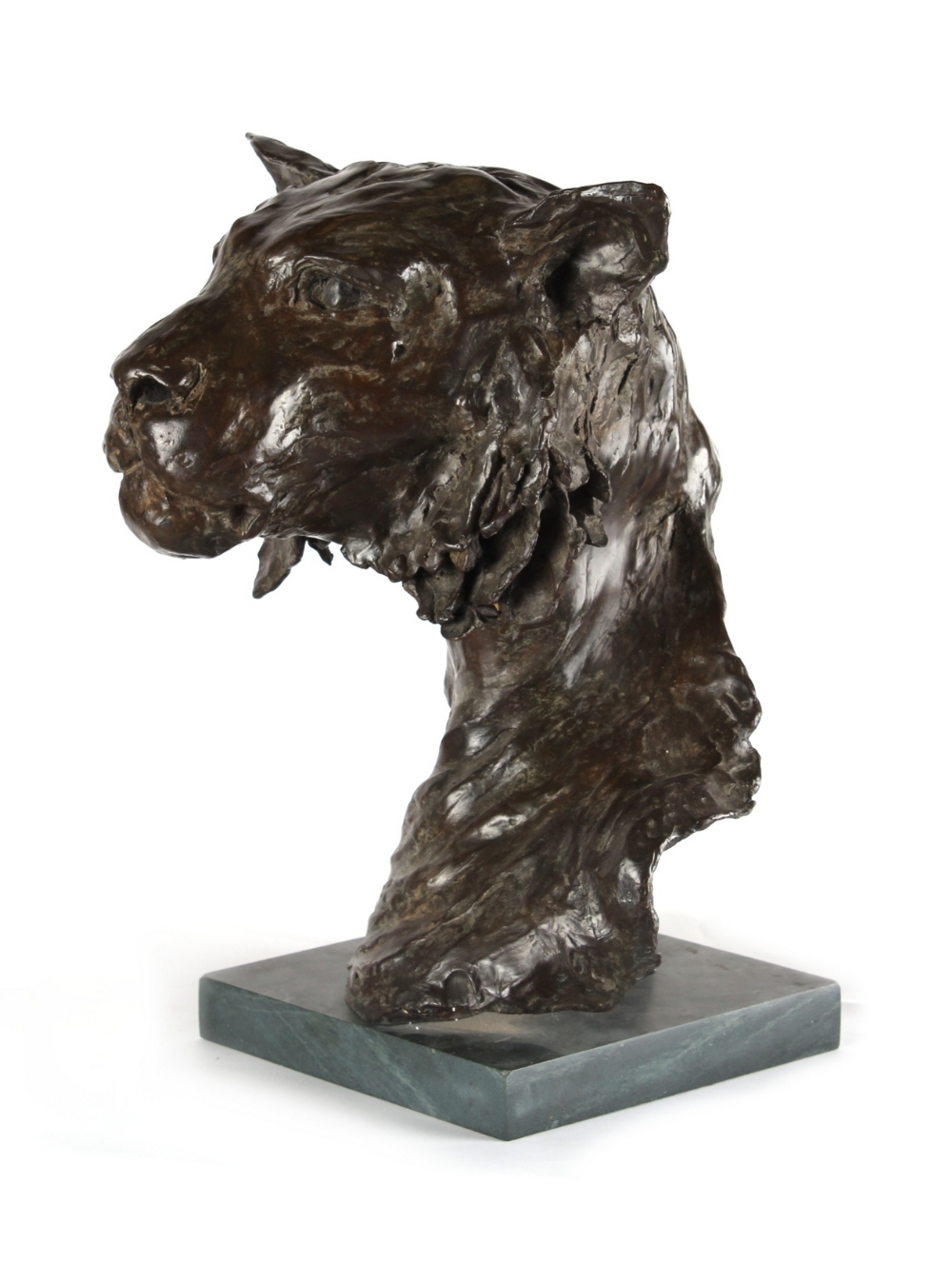 ARR - Property of a gentleman - Lucy Nielson (contemporary) - LIONESS HEAD - bronze, signed & - Image 3 of 3