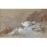 Property of a lady - Archibald Thorburn (1860-1935) - PTARMIGAN ON SNOW COVERED MOUNTAIN -