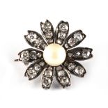 A diamond & pearl flowerhead brooch, probably Georgian, set with a single untested pearl measuring