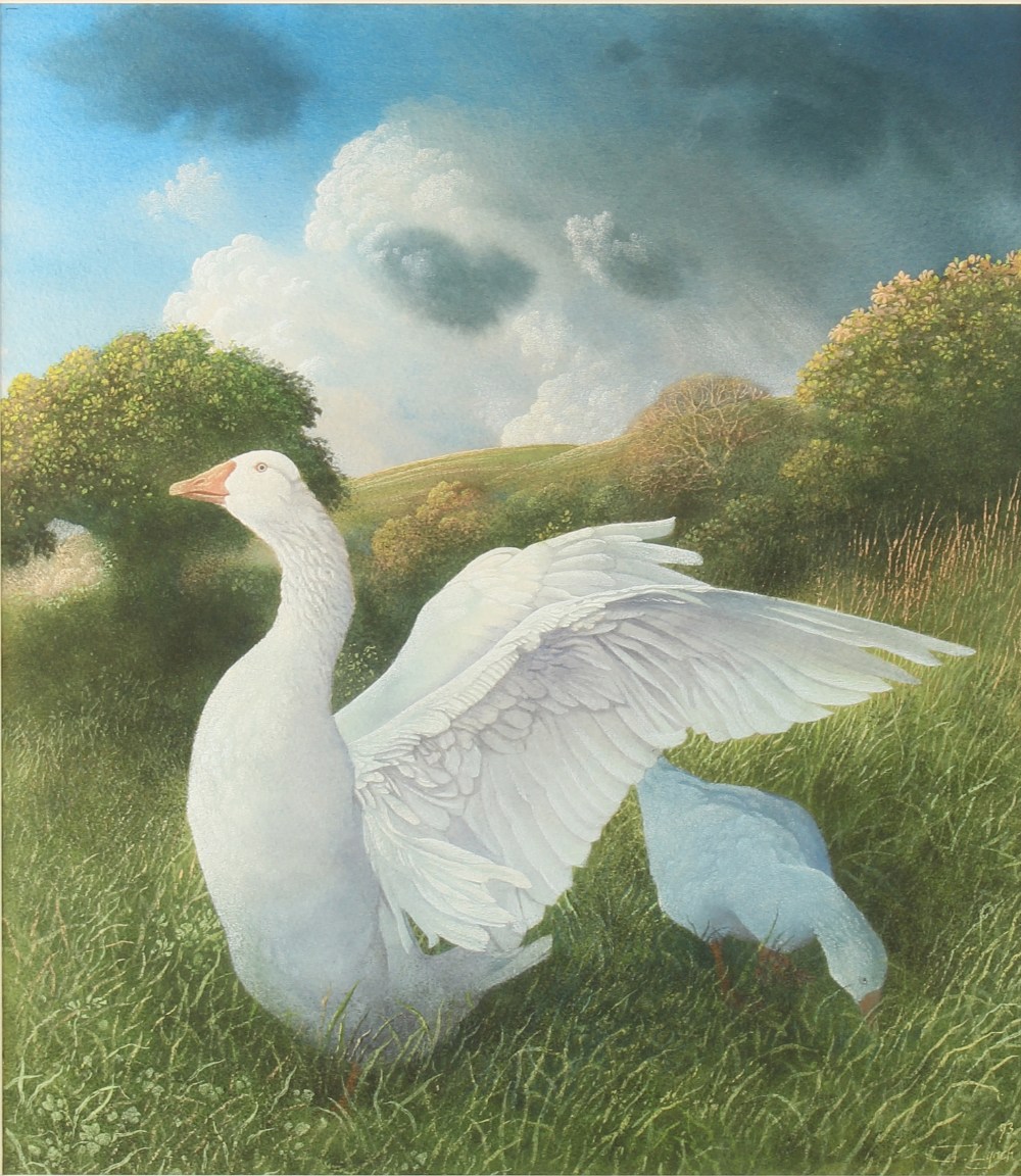 ARR - Property of a lady - James Lynch (b.1956) - GEESE IN LANDSCAPE - gouache & watercolour, 15.