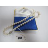 A Single Strand Fresh Water Pearl Bead Necklace, of uniform design, to magnetic clasp.