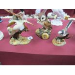 Three Royal Crown Derby Model Birds, and Bird Groups, including Budgerigars, Brown Owl and Long