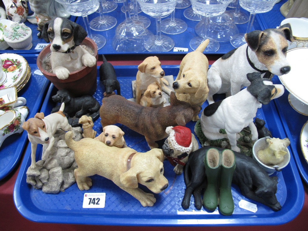 Leonardo, Heredities and other model dogs:- One Tray