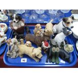 Leonardo, Heredities and other model dogs:- One Tray