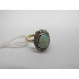 An Opal Set Cluster Ring, oval collet cabochon set to the centre, within border of single cut