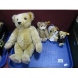 A Steiff Gold Plush Teddy Bear, with growling facility, approximately 30cm high, three smaller