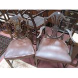A Set of Five Early XX Century Mahogany Hepplewhite Style Dining Chairs, one arm. four single with