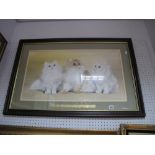 Gail Lodge, Study of Three White Persian Cats, signed and dated 1989 lower right, 40 x 73cm, cat