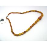 A Single Strand Graduated Amber Coloured Bead necklace, to pierced clasp.