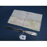 A Highly Decorative Mother of Pearl Handled Cake Knife, with openwork scroll detail to the blade,