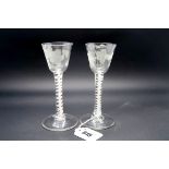 A Pair of Mid XIX Century Wine Glasses, with tapered bowls etched with fruiting vines and