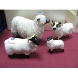 A Beswick Black Faced Sheep, no. 1765, Ram, no. 3071 and Lamb, no. 3071 and a Wensleydale Sheep