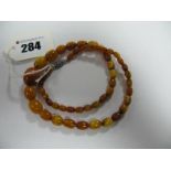 A Single Strand Graduated Amber Coloured Bead necklace, to pierced clasp.