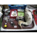 A Taxidermy Wading Bird, vintage advertising tins, cruet, enamel badges, chemist and beer bottles,