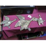 A Set of Three Early XX Century Graduated Brass Cast Flying Ducks, RD 868460. (3)