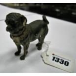 A Cold Painted Model Pug Dog, in the Bergman style, length 7.5cm.