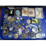 Costume Jewellery Brooches, including 'M', feather, floral sprays, imitation cameo, etc:- One Tray