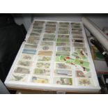 A Quantity of 'Card Collectors Society' Reproduction Cigarette Cards, varying titles including