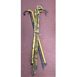 Walking Sticks, the handle carved as a boot and other walking sticks (6).