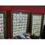 Four Daily Telegraph 1995 Rugby World Cup Home Nations Trade Card Sets, framed.