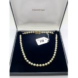 A Uniform Single Strand Pearl Bead Necklace, knotted to diamond set bow clasp (fitted for three
