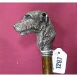 An Early XX Century Gentleman's Walking Stick, with white metal dog's head handle (Woolfhound?).