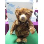 A Modern Steiff Jointed Teddy Bear #682292, Mohair, Gentleman Ben, brown tipped, 50cm high, tags