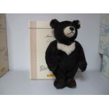 A Modern Steiff Jointed Teddy Bear #662423, Moon Ted, dark brown, growler, 40cm high, certified