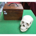 A Human Skull, with sprung jaw and cut cap, with oak box.