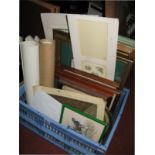A Framed Print of Trent Bridge, Nottingham, unframed prints, etc:- One Box