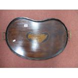 An Early XX Century Mahogany Kidney Shaped Tray, with wavy gallery and shell pattern inlay.