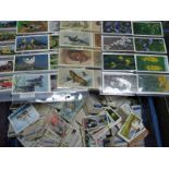 A Large Quantity Post War Trade Cards, mainly part sets and odds by Black Cat, Brooke Bond,