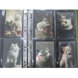 A Postcard Album, containing seventy nine novelty postcards of cats and kittens, all with glass eyes