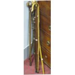 Early XX Century and Later Walking Sticks. (7)