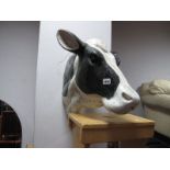 A Lifesize Artists Model of a Cows Head.